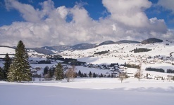 Bernau Schwarzwald: Blick ins winterliche Hochtal Richtung Herzogenhorn.  Michael Arndt