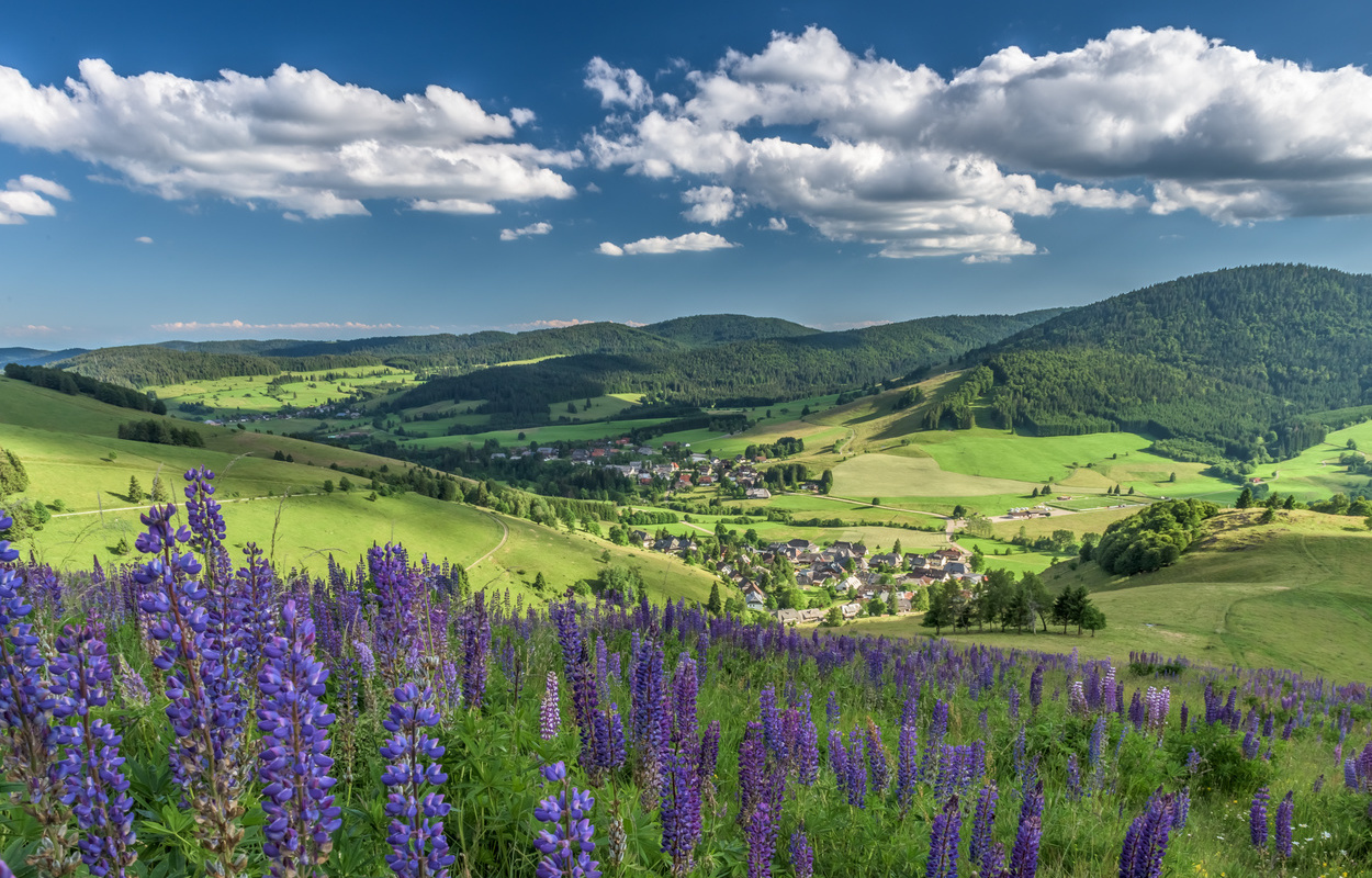 Blick auf Bernau - Bernau Gutschein